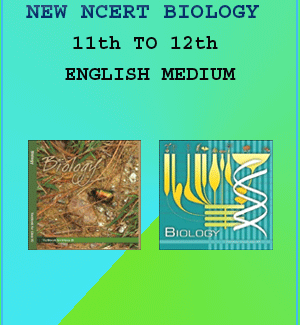 Biology New Original NCERT Book Class 11th To 12th English Medium Combo Set