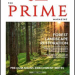 Insights IAS The Prime Magazine Pre Cum Mains  July English Medium 2022