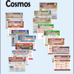 Cosmos Publication 15 Booklets 01 Combo Set  By Mahesh Kumar Barnwal  Kunal Verm  Paper English Medium