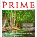 Insights IAS The Prime Magazine Pre Cum Mains August English Medium 2022