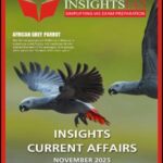November 2025 Monthly Magazine-Insight IAS